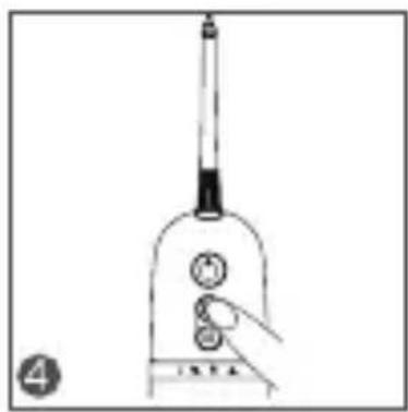 TESLA Flosser FS200 - Note: - 4