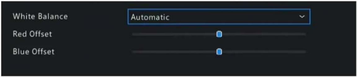 White Balance Automatic Red Offset Blue Offset