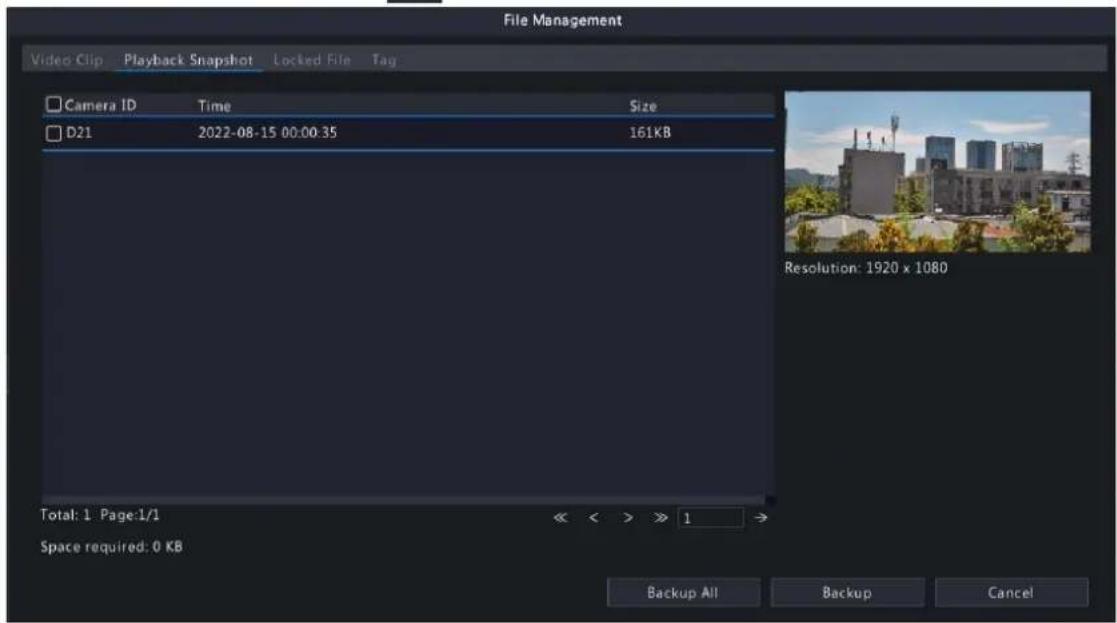File Management Video Clip Playback Snapshot Locked File Tag Camera ID Time Size D21 2022-08-15 00:00:35 161KB Resolution: 1920 x 1080 Total: 1 Page:1/1 << >> 1 → Space required: 0 KB Backup All Backup Cancel
