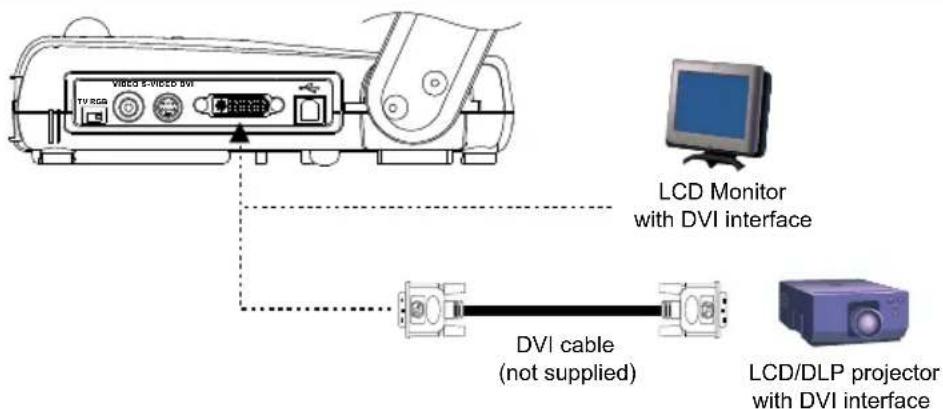 VIDEO S-WiSCO BVI TV RGB LCD Monitor with DVI interface DVI cable (not supplied) LCD/DLP projector with DVI interface