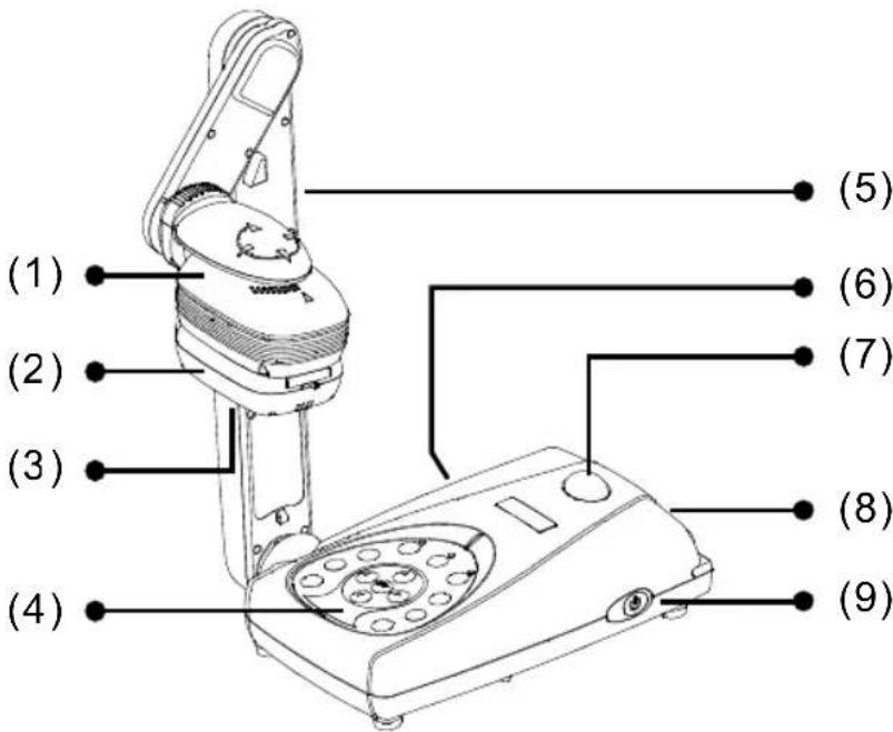 Right Panel (10)