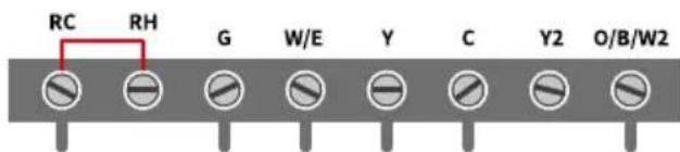 RC RH G W/E Y C Y2 O/B/W2