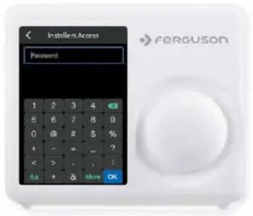 Installers Access Password 1 2 3 4 5 6 7 8 9 0 @ # $ % + - = _ ? < > , , ? As * & More OK FERGUSON