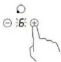 - 6 +