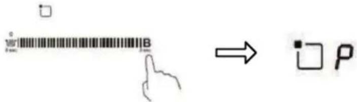 B → P