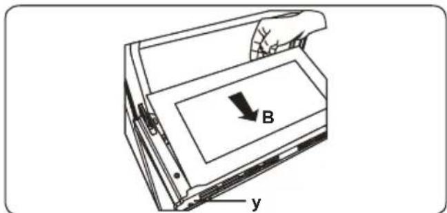 B y