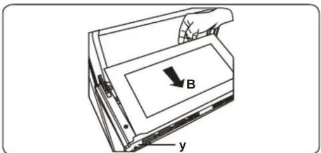 B y