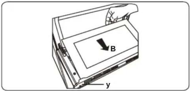 B y