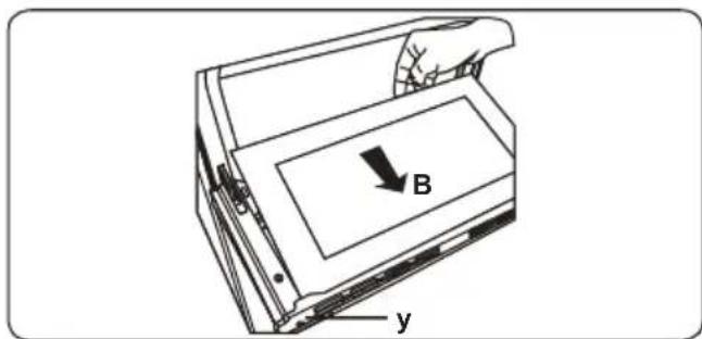 B y
