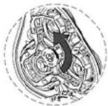 SENCOR SMS 5014TQ - 8