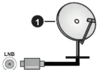 1 LNB