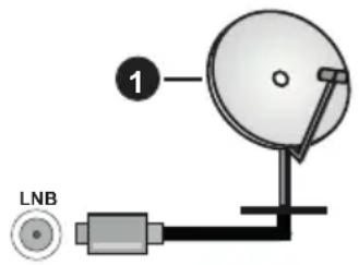 1 LNB