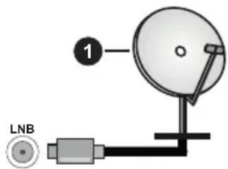 1 LNB