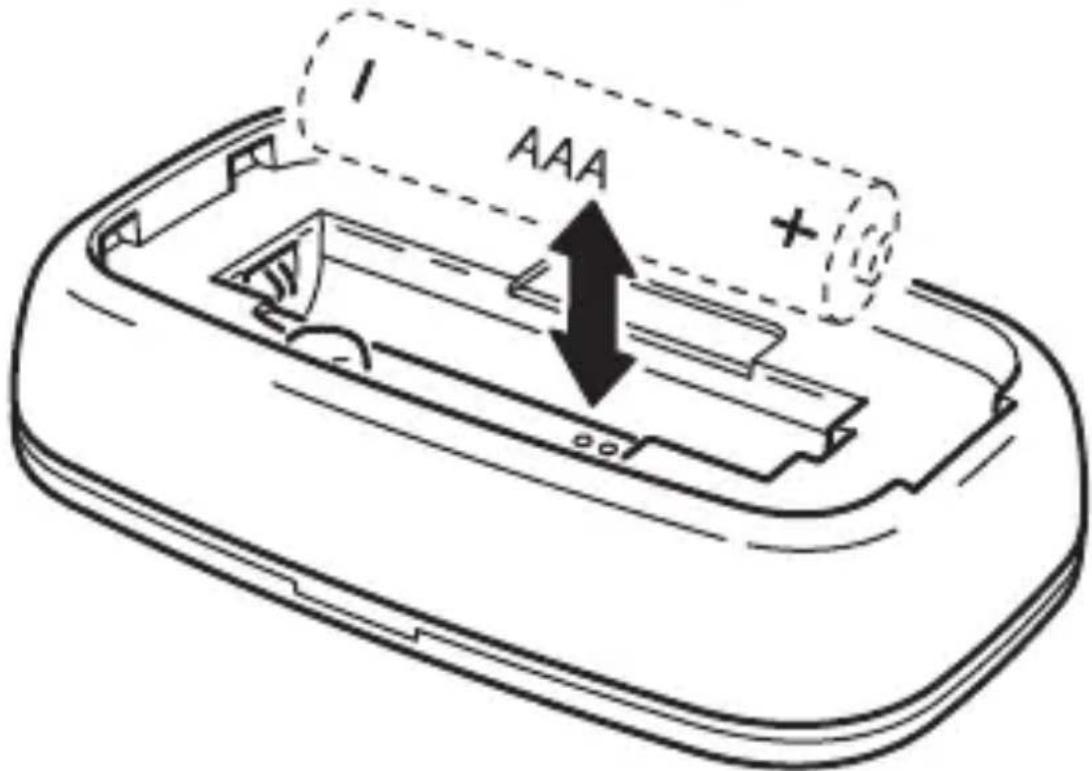 AAA +