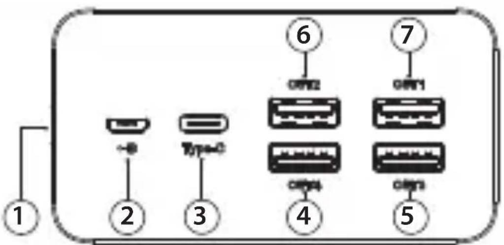 1 2 3 Type-C 4 6 7 ORF2 ORF1 ORF4 ORF3 5