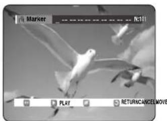SAMSUNG DVD-R123 - Using Markers - 4