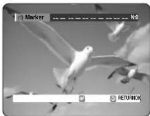 SAMSUNG DVD-R123 - Using Markers - 3