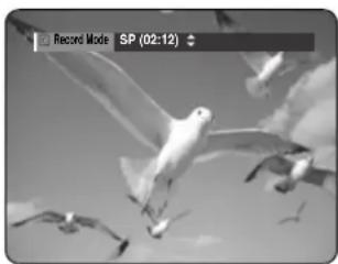 SAMSUNG DVD-R123 - Before you start - 1