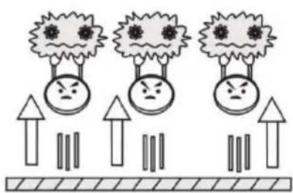 Illustration showing three identical cartoon faces with virus-like patterns above arrows, likely representing a biological or environmental concept.