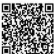 Graphite 58G034 - 1