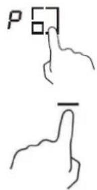 P 6
