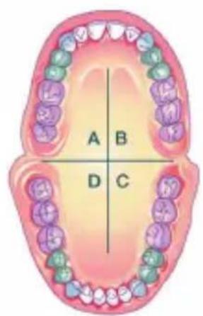 A B D C