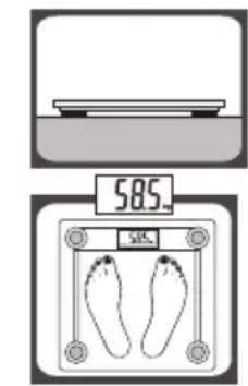 585. 585.