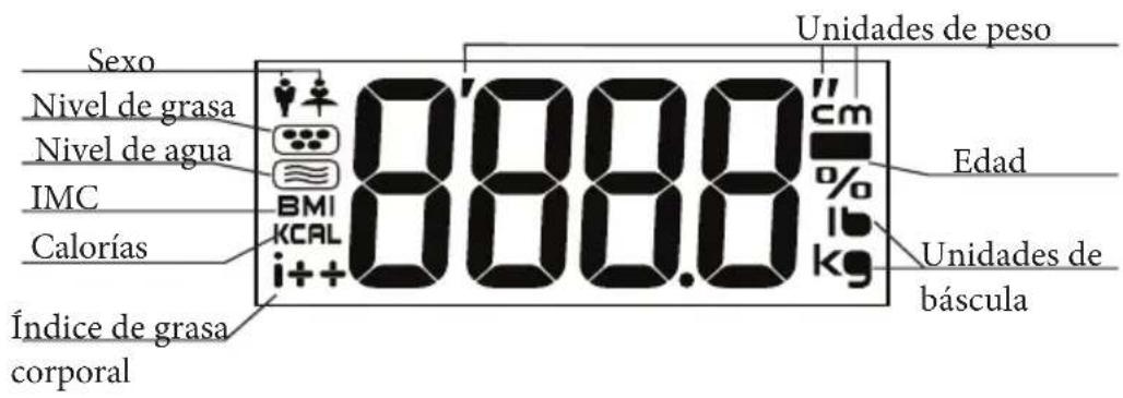 Sexo Nivel de grasa Nivel de agua IMC Calorías Índice de grasa corporal 8.000.0 cm % lb kg Unidades de peso Edad Unidades de báscula