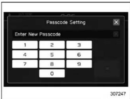 Passcode Setting Enter New Passcode 1 2 3 4 5 6 7 8 9 0 307247