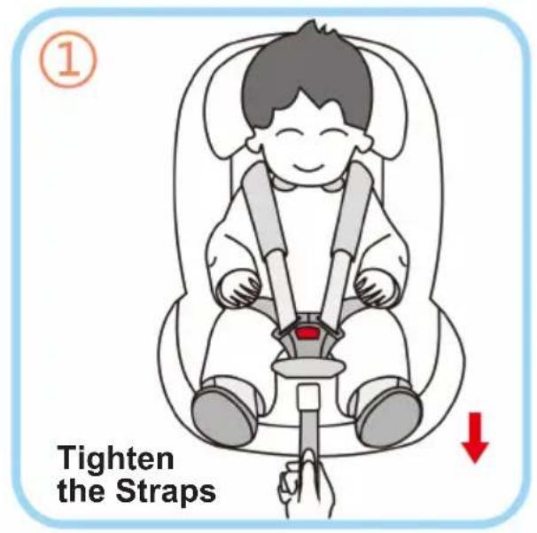 ① Tighten the Straps