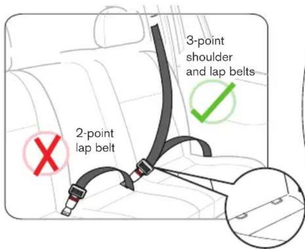 2-point lap belt 3-point shoulder and lap belts
