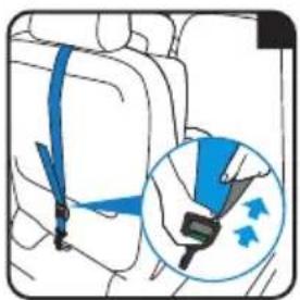 Caretero Commo i-Size - Regulacja Top Tether / Adjusting Top tether / Einstellung des oberen Haltegurts - 3
