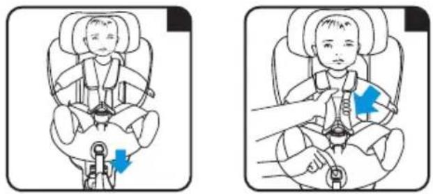 Caretero Turox - Regulacja szelek / Adjusting harness /Einstellen des Gurtzeugs - 1