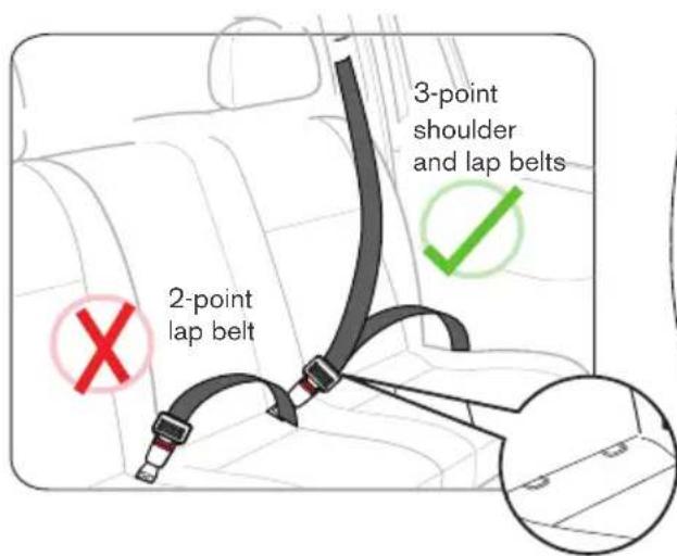 2-point lap belt 3-point shoulder and lap belts