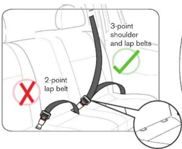2-point lap belt 3-point shoulder and lap belts