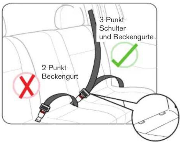 2-Punkt- Beckengurt 3-Punkt- Schulter und Beckengurte