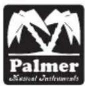 Palmer DMS - DEFINE YOUR TONE - 1