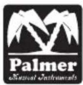 Palmer DMS - DEFINE YOUR TONE - 1