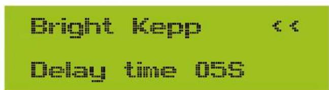Bright Kepp Delay time ass