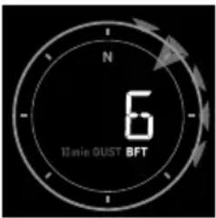 SENCOR SWS 16600 - Wind direction, Gust and Beaufort Scale display - 5