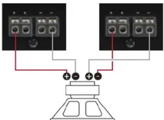Diagram showing two identical electronic devices connected to a speaker with labeled terminals and polarity indicators