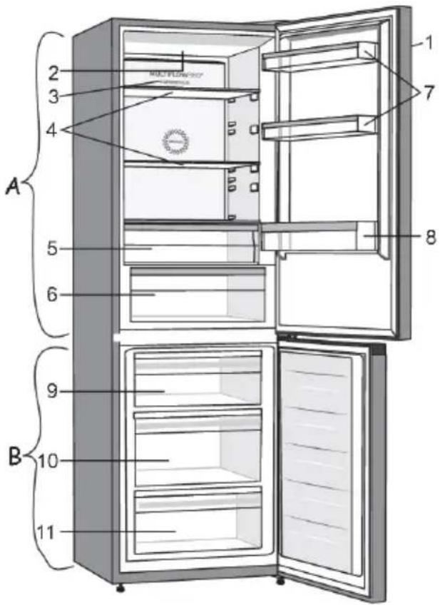 A 2 3 4 5 6 7 8 9 10 B 11