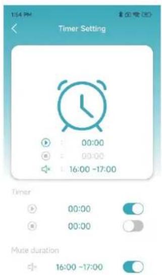 Timer Setting 00:00 00:00 16:00 -17:00 Timer 00:00 00:00 Mute duration 16:00 -17:00