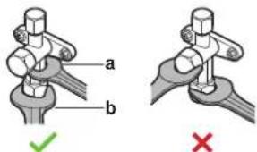 a b ✓ ×