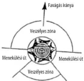 Favágás iránya Veszélyes zóna Menekülési út Menekülési út Veszélyes zóna