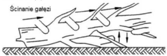 Ścinanie gałęzi