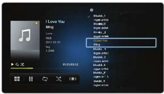 SAMSUNG UE37D5500RP - Přehrávání hudby - 1