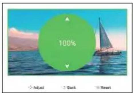 100% Adjust Back Reset