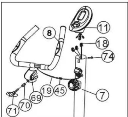 Labeled diagram of a swimmer's internal components with numbered parts for identification