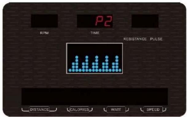 P2 RPM TIME RESISTANCE PULSE DISTANCE CALORIES WATT SPEED